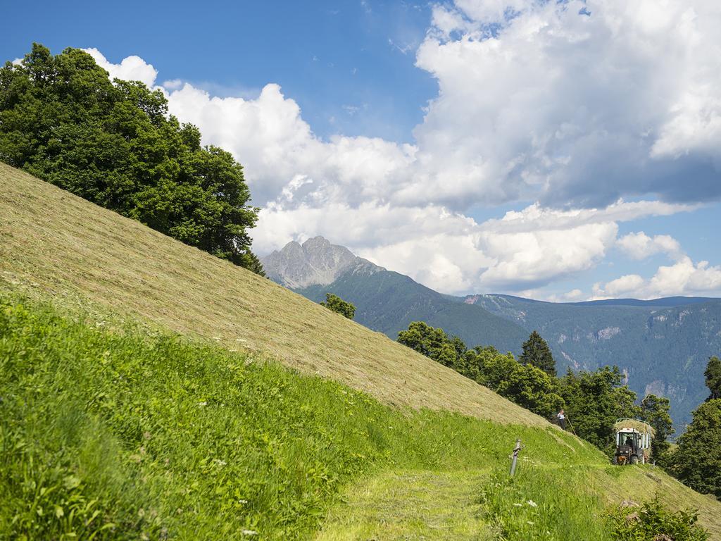 Gasthaus Gasteiger Lagundo Esterno foto